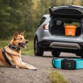 Top Dog Travel Accessories for Every Trip