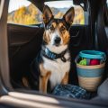 Tips for Preparing Your Dog for Long-Distance Travel