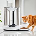 Best Automatic Feeder for Cats – Smart Feeding