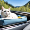 Best Car Rides for Cats: Tips for Safe, Stress-Free Trips