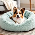 Cozy Dog Beds: Find the Perfect Nap Spot for Your Pup