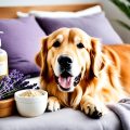 Soothe Your Pup: Home Remedies for Dog Allergies