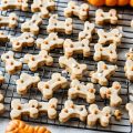 Easy Homemade Dog Treats: Tasty Recipes for Pups