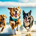 Pet-Friendly Vacations: Travel with Your Furry Friends