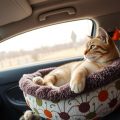 Traveling with Cats: Tips for a Purr-fect Journey