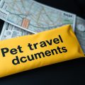 Pet Travel Documents: Your Guide to Safe Journeys