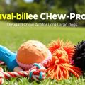 My Top Chew-Proof Toys for Large Dogs