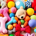 My Top Chew Toys for Toy Breeds