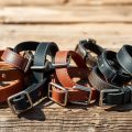 The Best Doberman Training Collars I’ve Tried