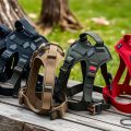 My Guide to the Best Harnesses for Guard Dogs