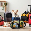 Portable Carriers for Toy Breeds: My Favorite Options