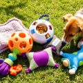 5 Scent Training Toys I Love for Engaging My Dog