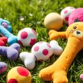 Discover the Best Soft Chew Toys for Your Furry Family