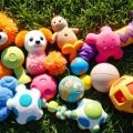 My Top Toys for Small Dogs That They’ll Love!